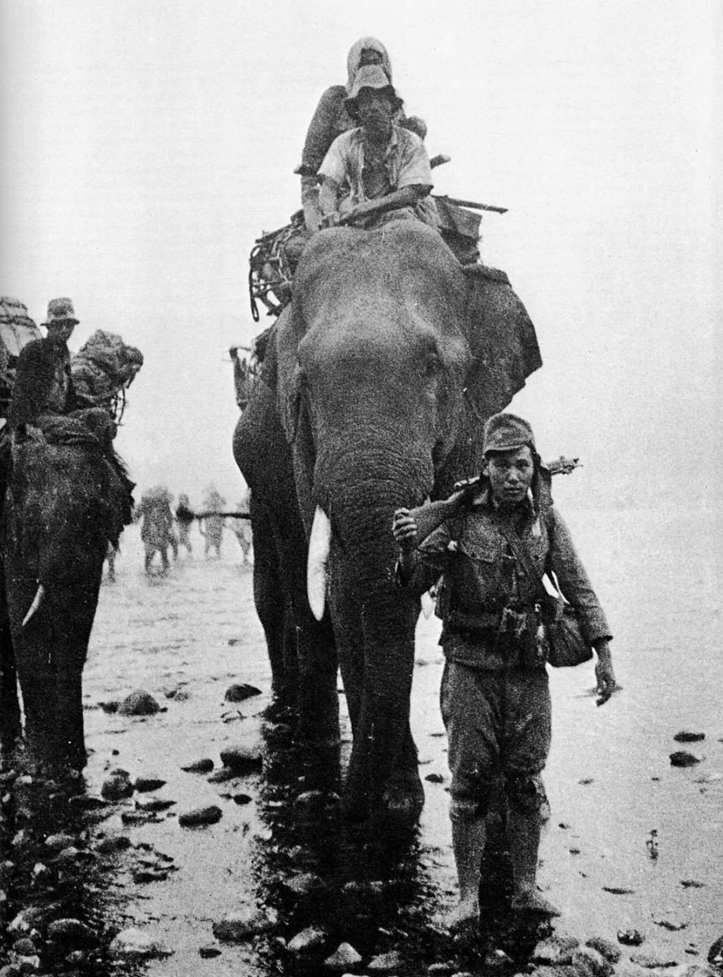 Japanese troops on an elephant in Burma. 